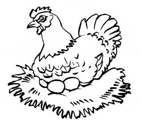 desene de colorat gaina